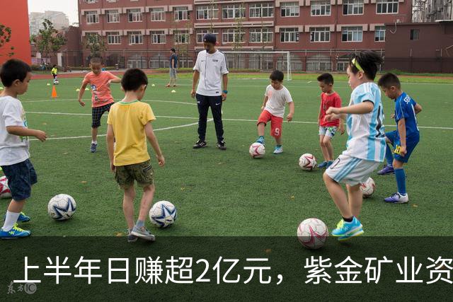 上半年日赚超2亿元，紫金矿业资产负债率14年来首次跌至50%以下